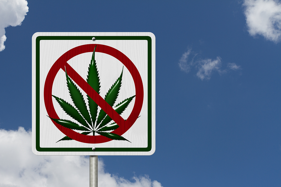 States where marijuana is legal